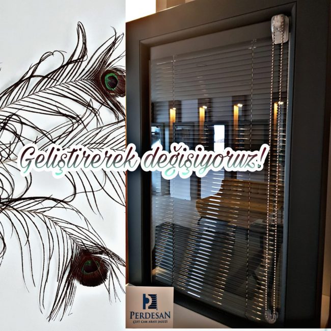 47450f7c-44d8-4c9c-bef5-e70354bce82c